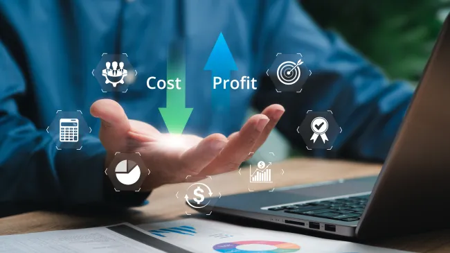 Profits and costs